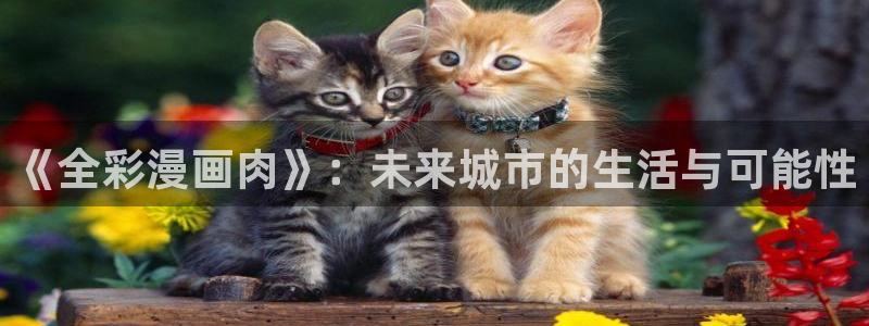 羞羞漫画无限免费看下载：《全彩漫画肉》：未来城市的生活与可能性