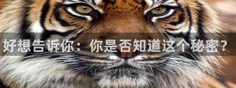 韩漫网址羞羞漫画：好想告诉你：你是否知道这个秘密？